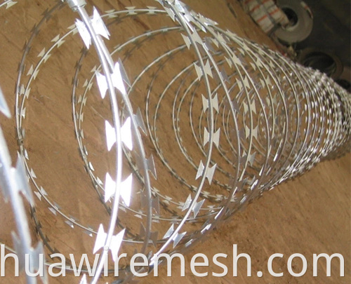 Competitive Price With Best Selling Concertina Razor Wire1